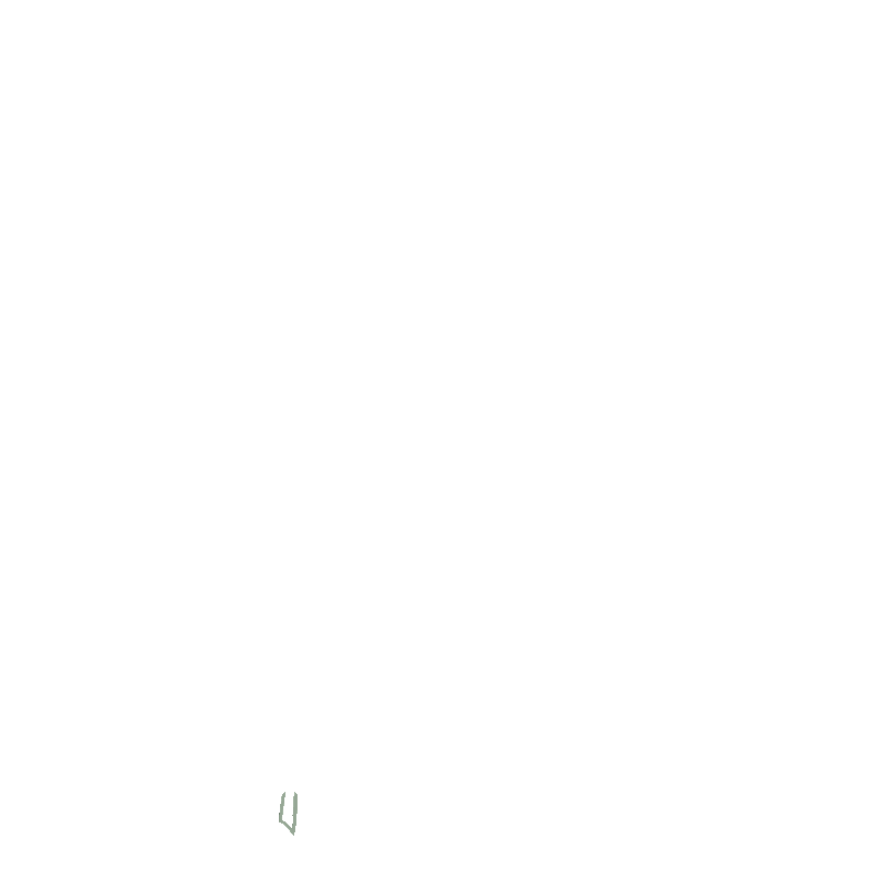 Image Alt Tag